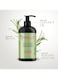 Mielle Organics Rosemary Mint Strengthening Set 2 Oils + Shampoo Infused With Biotin Cleanses And Helps Strengthen Weak And Brittle Hair 473ml