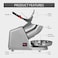 Aiwanto Ice Crusher Ice Shaver Ice Masher Ice Blender for Bar Resturant Home Electric Dual Blade Ice Crusher Shaver Snow Cone Maker Machine 300W 145lbs/hr(Grey)