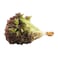 Saac Lollo Rosso Lettuce 1 Piece