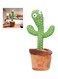 Electric Dancing Cactus Plant Stuffed Toy With Music