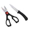 Royal Ford - Knife And Scissors Set, 2 Pieces