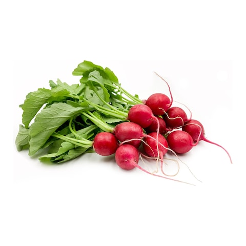 Red Raddish