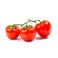 Tomato Bunch