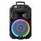 IDEA SPEAKER WIRELESS MIC�USB SD80W