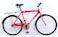 26 Inch Two wheeler Single Speed Mountain Bike(Red)