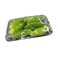 Premium Bitter Gourd Farmi Prepack
