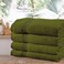 Comfy Set Of 4 Pure Cotton Hand Towel - Green