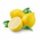 Lemon Egypt