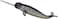 Animal Planet Mojo Narwhal Realistic International Wildlife Toy Replica Hand Painted Figurine