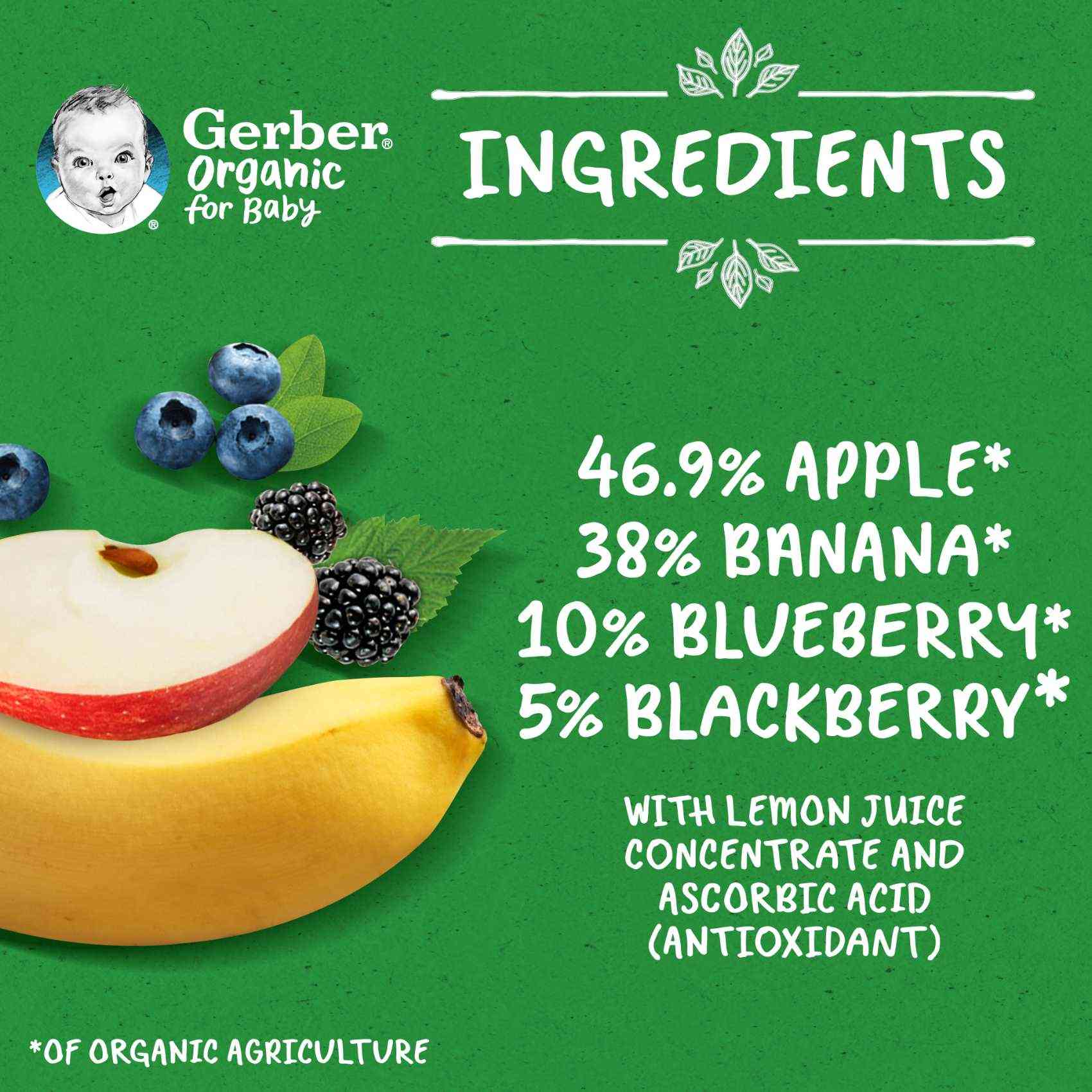 Gerber Organic Apple Banana Blueberry Blackberry Puree Green 90g