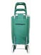 Folding Essential Shopping Trolley- WHEELS # GREEN LEAF   Fabric Luggage Bag with Wheels   Shopping Cart   Shopping Trolley with Wheels   Portable Trolley   Foldable Shopping Bag