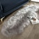 Generic Ashler Home Deco Ultra Soft Fluffy Area Rug Faux Fur Sheepskin Carpet Chair Couch Cover For Bedroom Floor Sofa Living Room, Grey 2 X 6 Feet