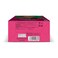 Lipton Mixed Berries Green Tea Bag 10 pcs
