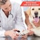 Bear Pet Dog Cat Nail Clipper and Trimmer with Safety Guard to Avoid Over-Cutting Nails &amp; Free Nail File
