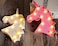 Unicorn Head Night Light White for Kids with Warm LED Lights 25x24.5cm