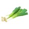Organic Leek