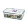 Lock &amp; Lock Classic Food Container With Divider 1L