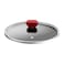 Tefal Expert Stewpot with Glass Lid - Size 20 - Red