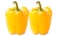 Bio Land Yellow Pepper - 500 gm