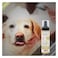 Wahl Waterless Oatmeal Formula Dog Shampoo 200ml