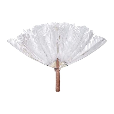 فحم للشواية