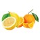 Le Preziose Oranges And Lemons Jellies 200g