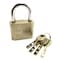 Baogu Padlock 70mm Gold/Silver