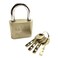 Baogu Padlock 70mm Gold/Silver