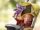 VTech Baby Cuddle &amp; Play Koala 80-536803
