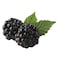 Blackberry 125g