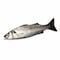 Fresh Sea Bass Whole