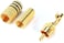 DKURVE&reg; RCA Audio Plug, AV Stereo Gold Plated Male Plug TV-out Cable AV Pin RCA Pin Male Audio Video RCA Pin Male Connector for Stereo Cable Audio Video Jack Adapter for Speaker Connector Pin