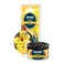 Areon ken car &amp; home freshener - vanilla