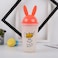Popular Double Wall Rabbit Frosty Gel Plastic Freezer Water Mug With Cute Lid For Summer