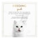 Purina Fancy Feast Grilled Chicken Feast in Gravy Senior Cat Food, 85g