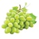 عنب أبيض بدون بذور