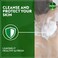 Dettol Cool Shower Gel &amp; Body Wash, Menthol &amp; Eucalyptus Scent, 250ml
