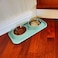 Cat Food Bowls, Cat Bowls Non-Skid and Non-Spill Silicone Mats with Stand, Removable Stainless Steel Food and Water Dishes for Cats, Small Size Dogs
