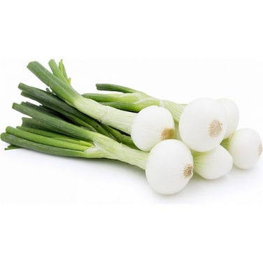 Spring Onion