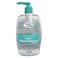 Cool &amp; Cool Sensitive Anti-Bacterial Hand Sanitizer 500ml