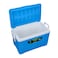 Royalford Insulated Ice Cooler Box, 32L, Rf10479, Premium Quality Polymer, Thermal Insulation