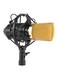 Professional Broadcasting Studio Recording Condenser Microphone Set I2146-A Black
