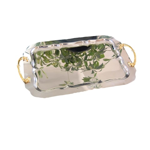 Abou Hamada Nourtray Stainless Steel With Handle