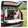 Ferplast Atlas Car 100 Pet Carrier 1 Piece Grey And White