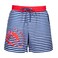 Anemoss Shrimp Mens Swim Trunk, Swimming and Beach Shorts For Men with Elastic Drawstring Waistband, Soft Mesh Lining and Pockets, Standard Fit and Mid-Length, S Size