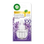 Buy Air Wick Essential Oil Plug-In Air Freshener Lavender Clear 19ml in Saudi Arabia