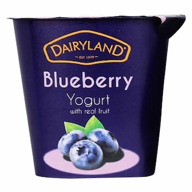 DAIRYLAND YORGHUT BLUEBERRY 150G