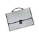Maxi 13 Grids Document Case with Handle Assorted Colours