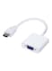 Generic HDMI Male To VGA Female Video Converter White