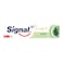 Signal Complete 8 Toothpaste Herbal Gum Care - 100 Ml
